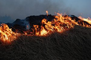 Пылающая угроза: в Добрянском округе горят бесхозные строения и трава