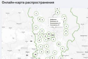 Ещё 2 инфицированных в Добрянском округе