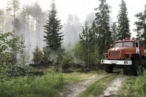 Добрянцам ограничили выход в лес