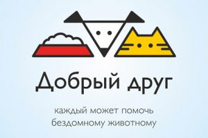 Добрянцы приютили бездомных кошек