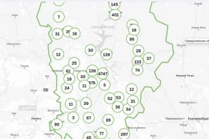 Число заражённых коронавирусом в Добрянском округе достигло 139-ти