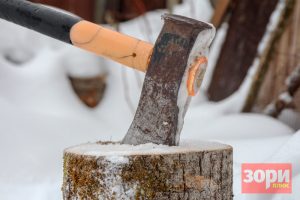 Жителя Добрянки осудили за незаконную вырубку деревьев