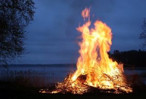 В добрянском лесу горела трава