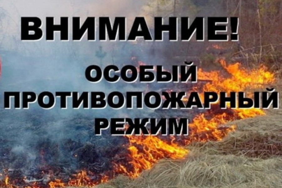 В Прикамье вводится особый противопожарный режим
