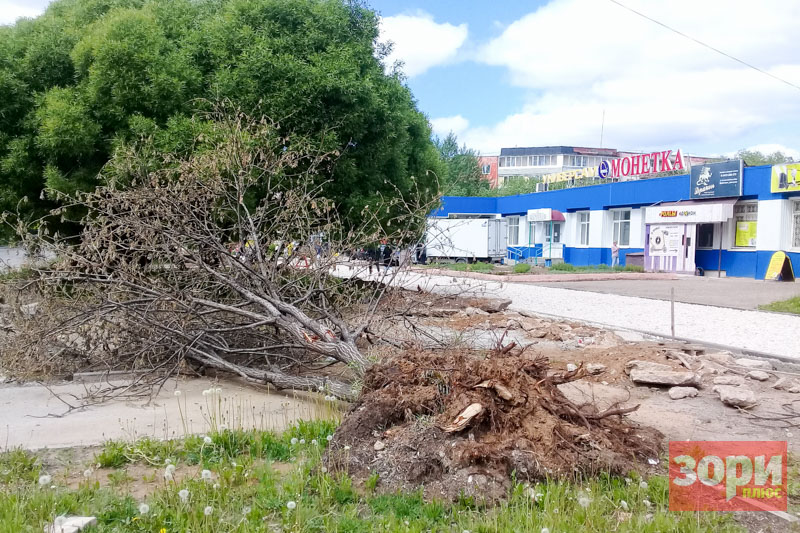 Чтобы срубить дерево