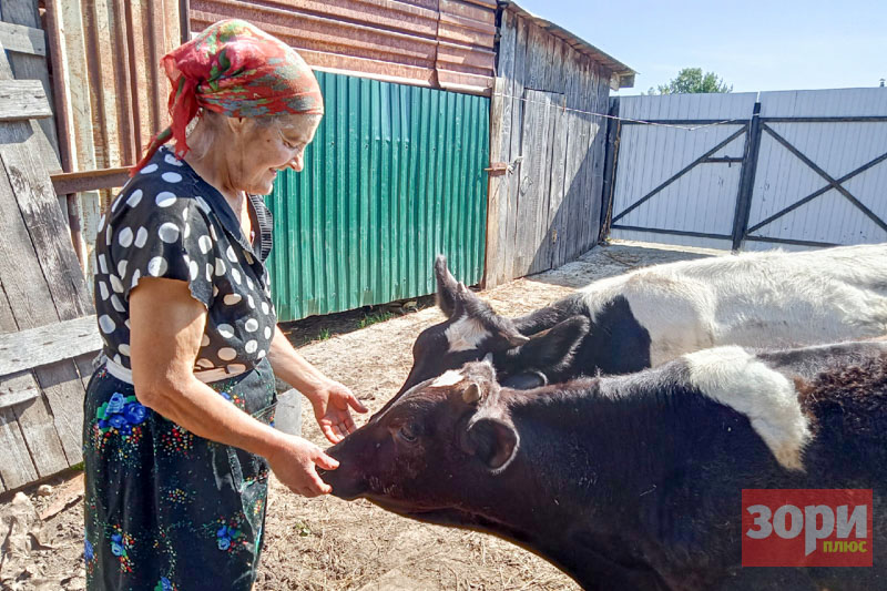 Удивительные подворья жителей Добрянского округа