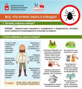 Началась вакцинация против клещевого энцефалита