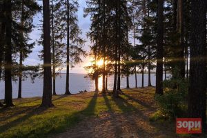 Чтобы облагородить добрянский парк