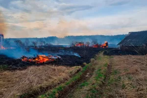 В Добрянском округе горит трава