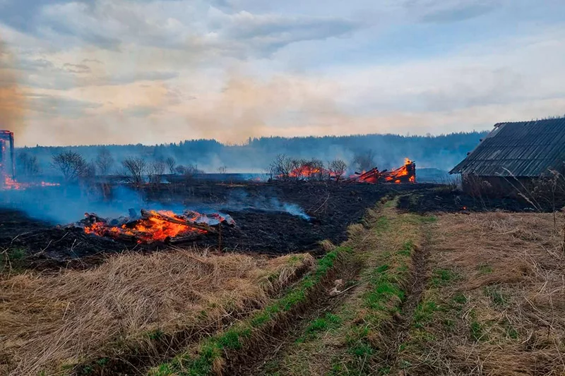 В Добрянском округе горит трава