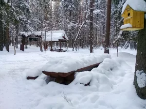 Кто отвечает за содержание «Поляны сказок»?