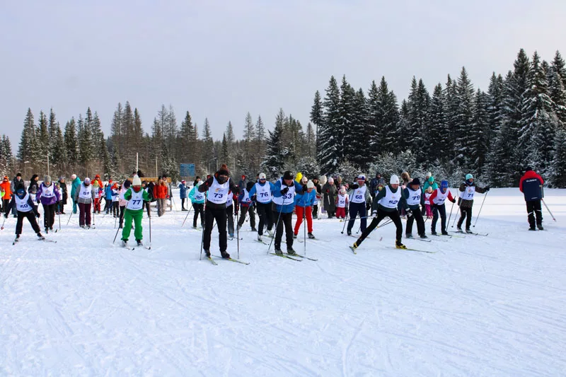 Встали на лыжи