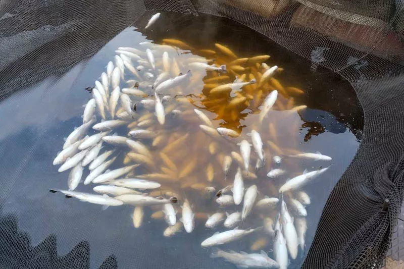 Нарушение Пермской ГРЭС