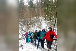 Миллионы шагов