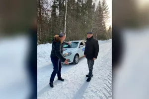 Проверка или показуха?