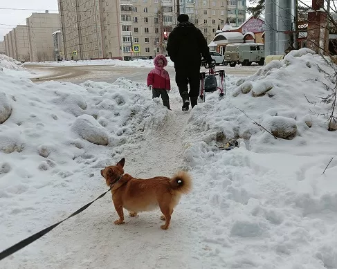 Одно чистят, другое заваливают!