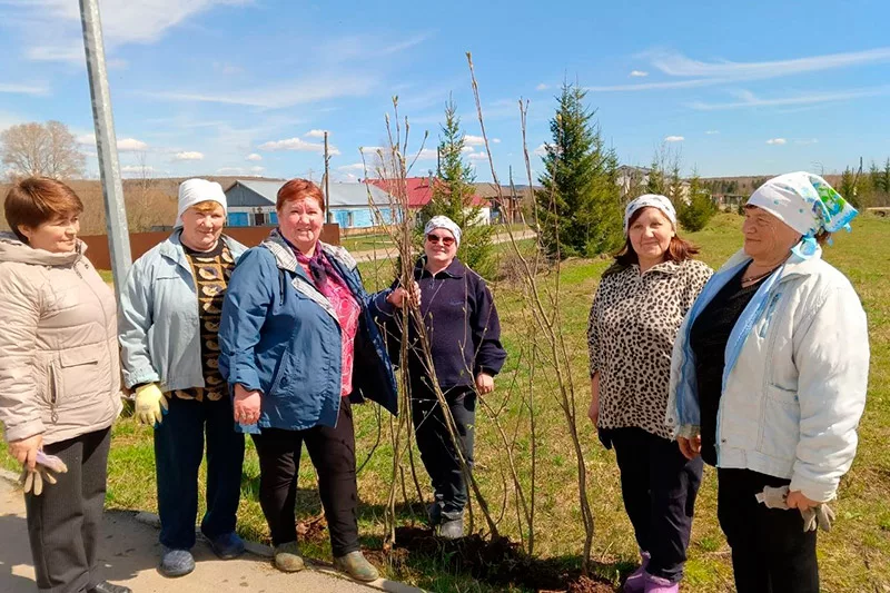 Вильвенские рябины