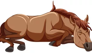 Без задних ног