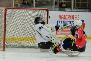 Серебро следж-хоккея