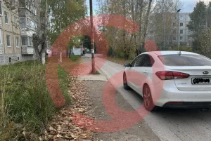 Жители учат работать