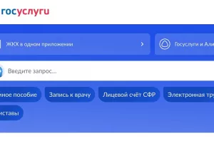 Мошенники придумали новую схему с «диагностикой» аккаунта на «Госуслугах»