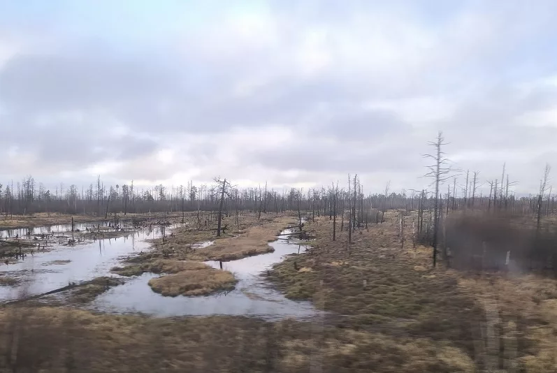 Изъятая земля уходит с молотка