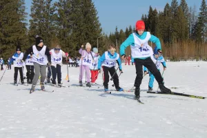 Где самые быстрые лыжи?