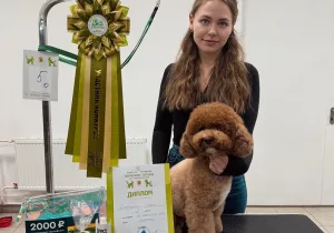 Мастер из Добрянки стала призёром пермского конкурса грумеров