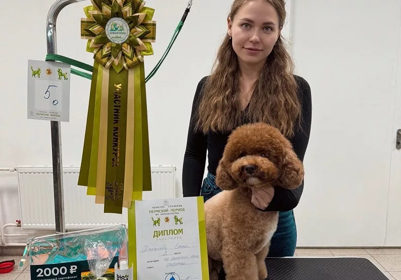 Мастер из Добрянки стала призёром пермского конкурса грумеров